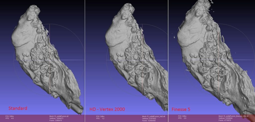 Scan 3D Huitres